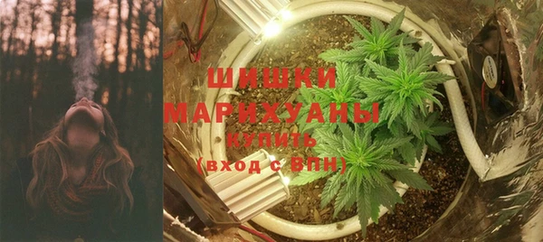 гашик Мегион