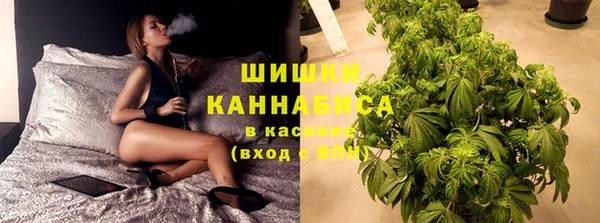 крисы Ростов