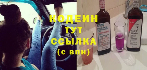 крисы Ростов